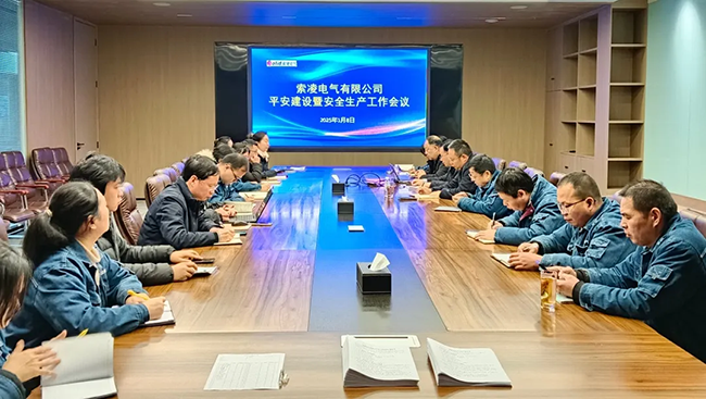索凌電氣年度安全工作會議：壓實責(zé)任，護航發(fā)展